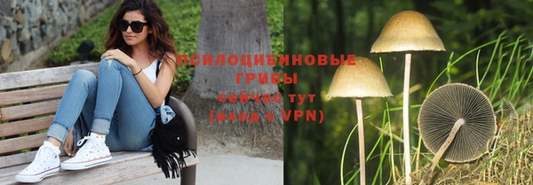 винт Сафоново