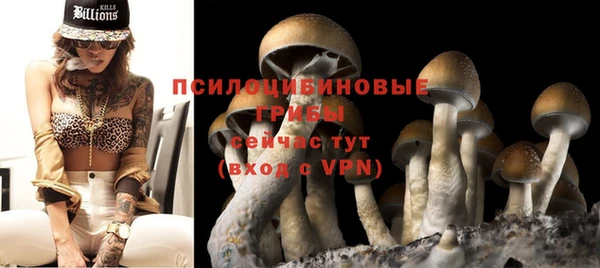 герыч Сатка