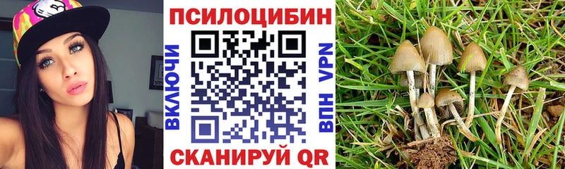 Псилоцибиновые грибы Magic Shrooms  Купить закладки  Махачкала 